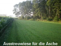 Streuwiese für die Pferdebestattung Streuwiese für die Pferdebestattung